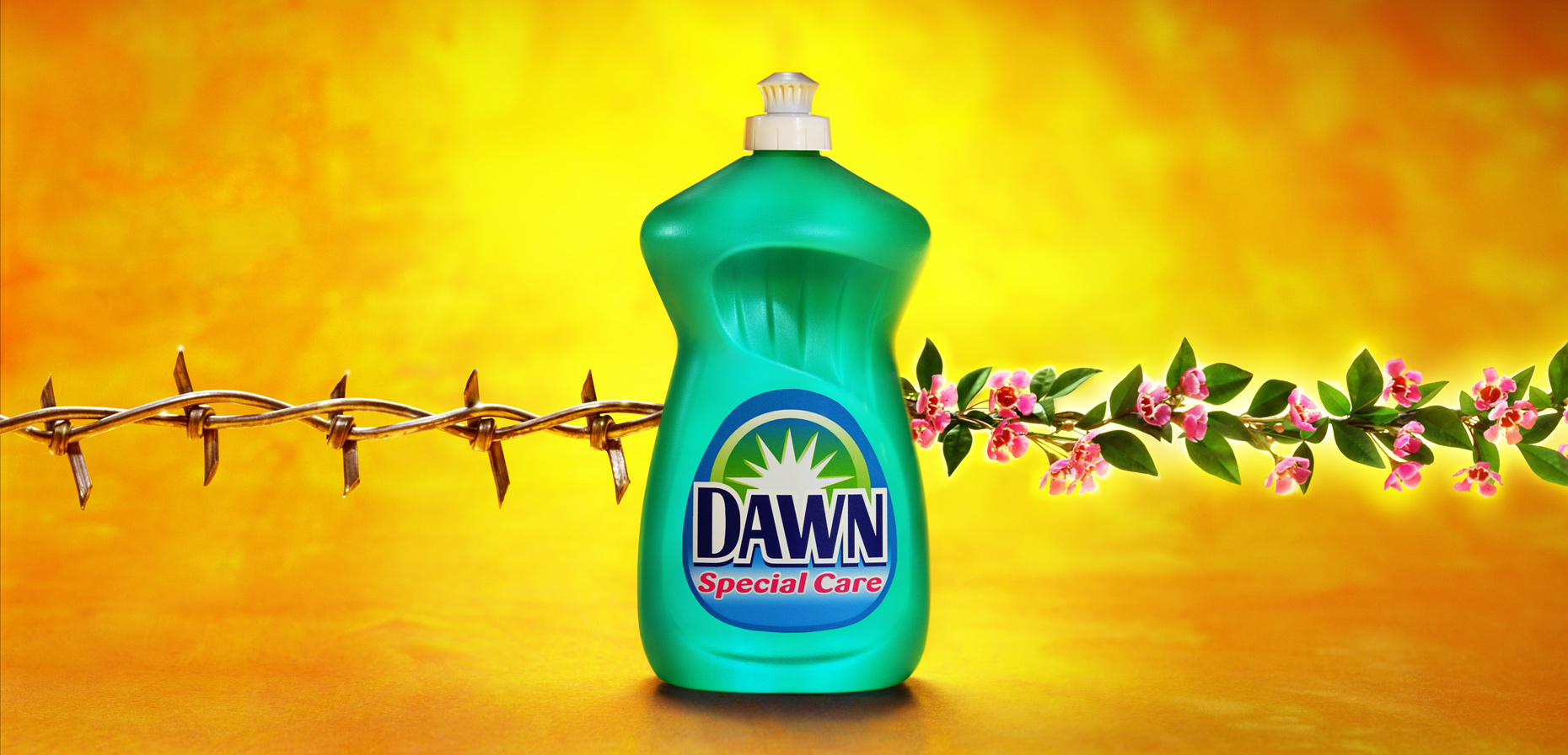 dawn-dishwashing-liquid-wire-vine.jpg